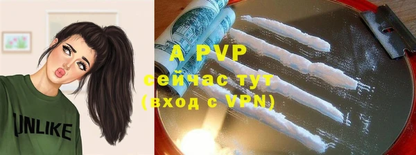mdpv Богородицк