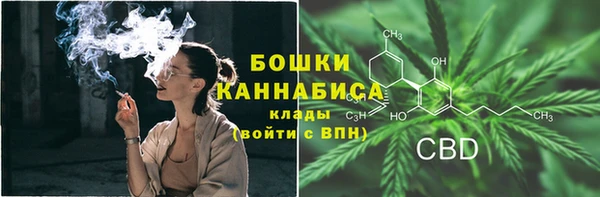 тгк Богородск