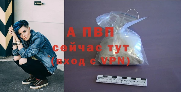 mdpv Богородицк