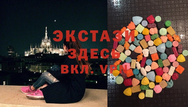 mdpv Богородицк