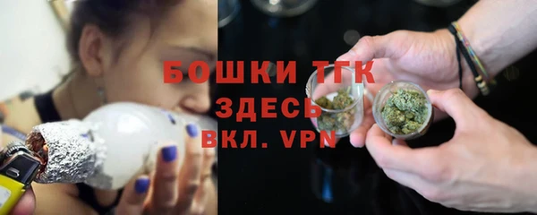 тгк Богородск