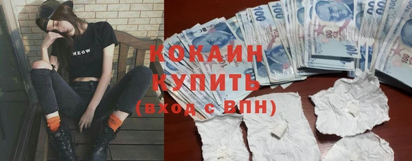 mdpv Богородицк