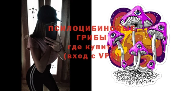 тгк Богородск